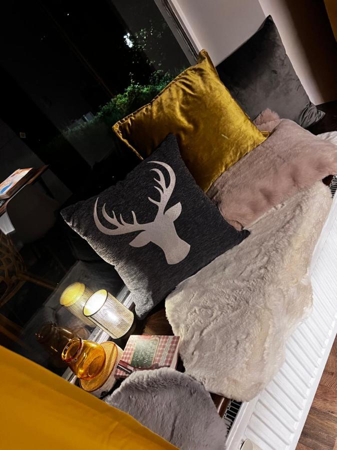 Bavaria Mountain Lodge Ski Arber Osser Bayrischer Wald Designer Ferienwohnung Lohberg Eksteriør billede